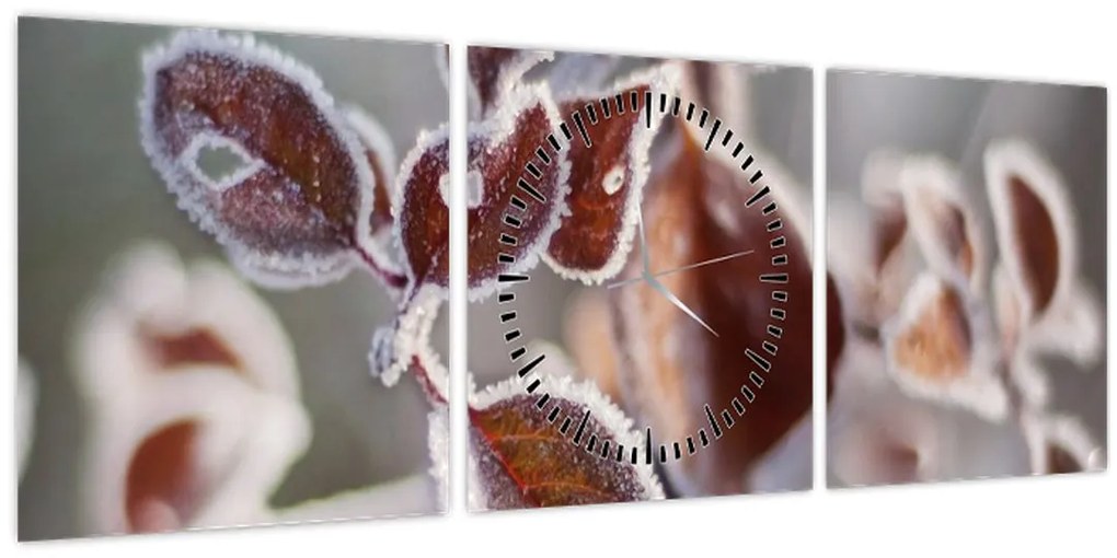 Kép - Levelek részlete (órával) (90x30 cm)