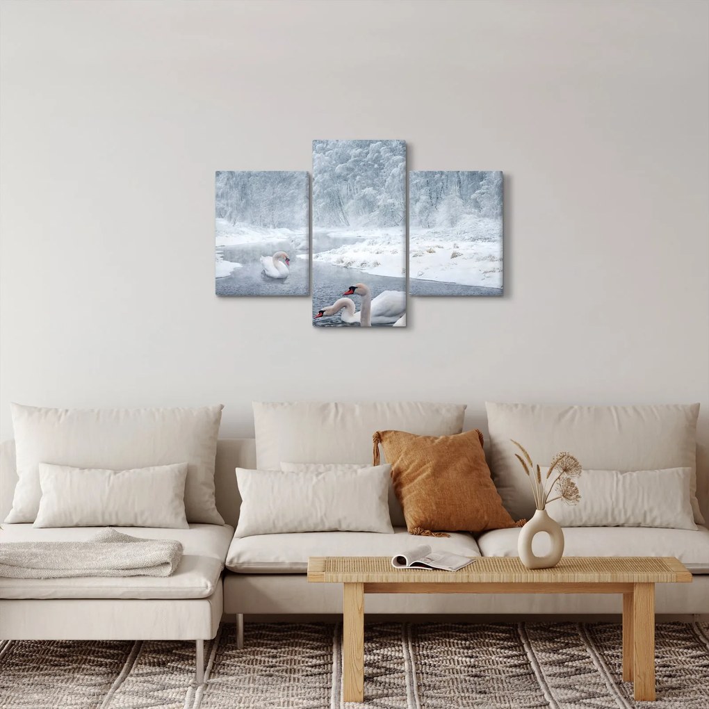 Hattyú képe (90x60 cm)