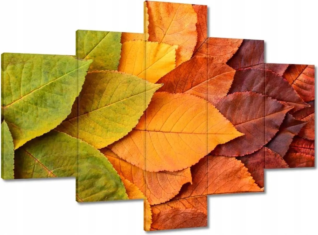Vászonkép 100x70 Őszi színes levelek Levelek az ősz színeiben