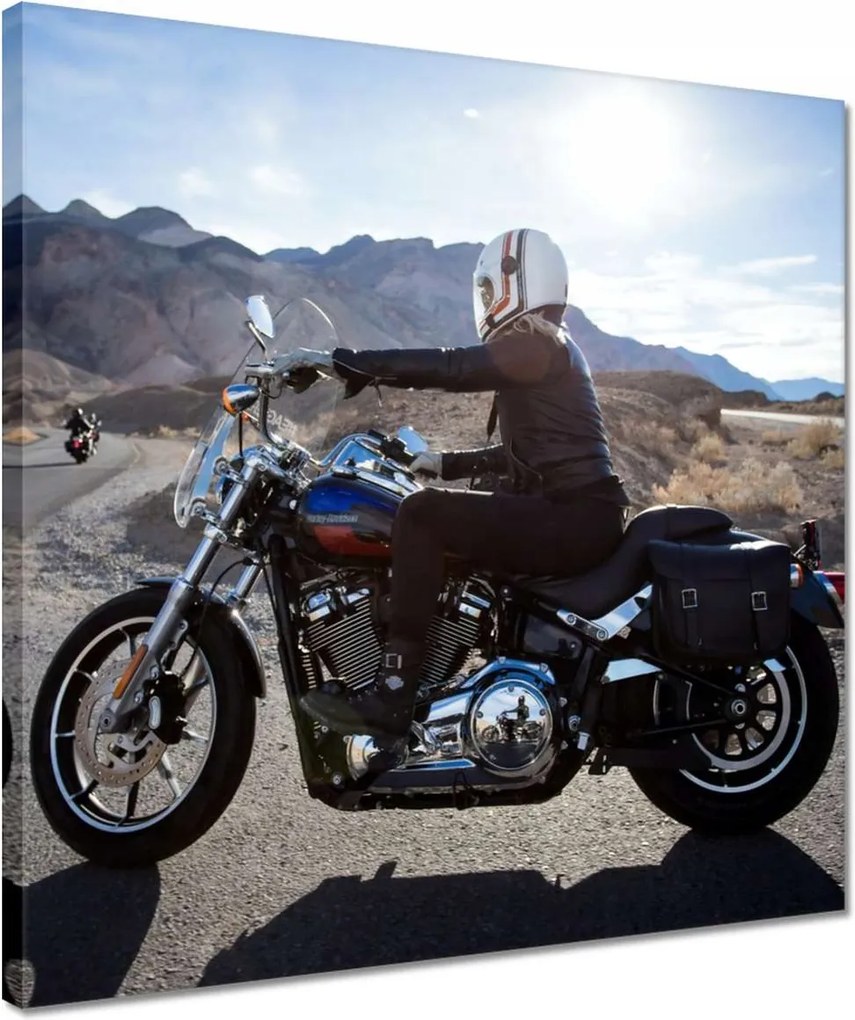 Vászonkép 40x40 Harley Davidson Motorkerékpár