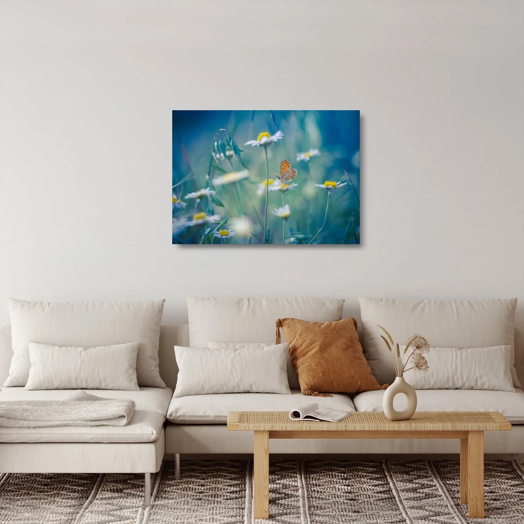 Kép - pillangó a százszorszépen (üvegen) (70x50 cm)