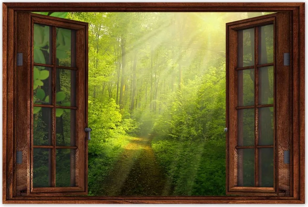 Poszterek 60x40 Varázslatos erdő Sugárzás