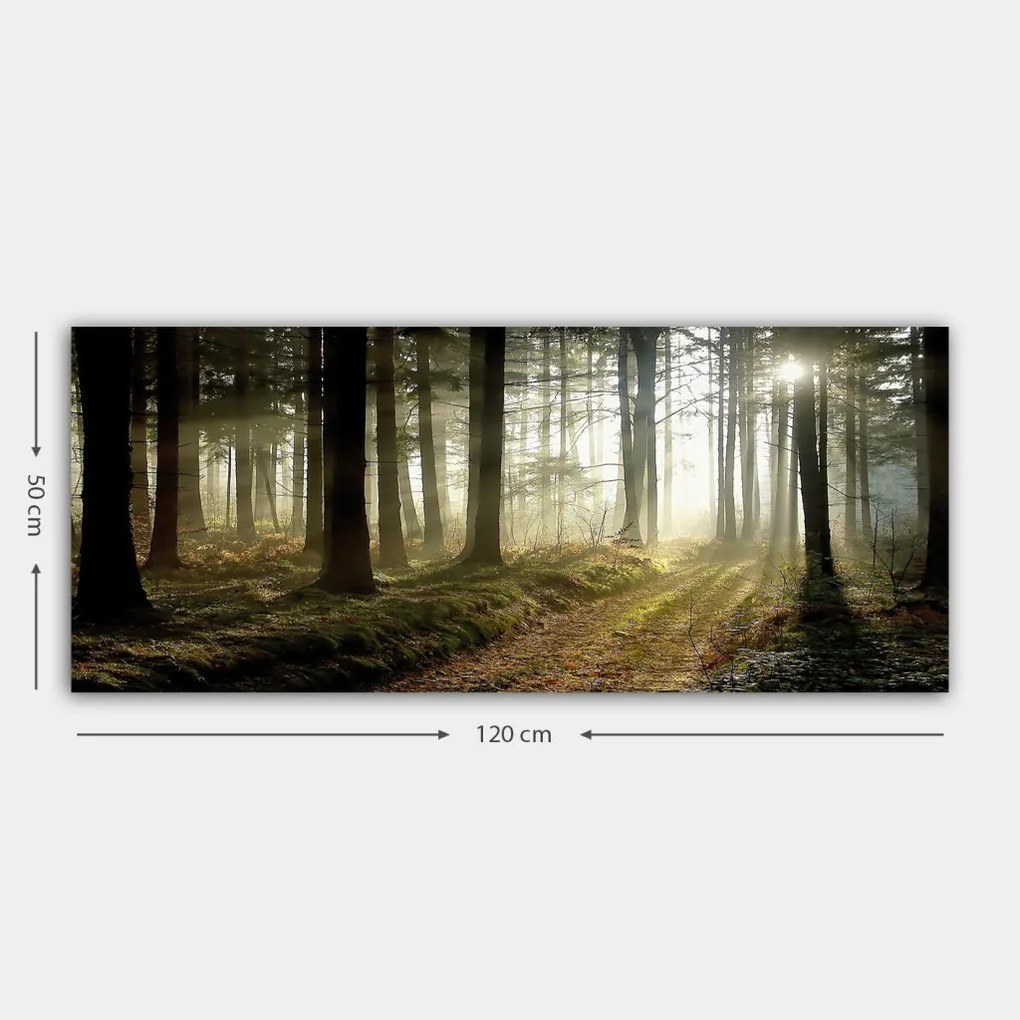 Vászonkép, 50×120 cm – TR451ERN1413