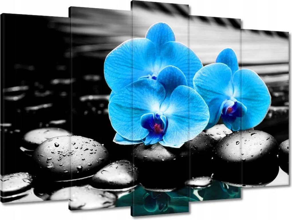 Vászonkép 70x50 Kék orchidea