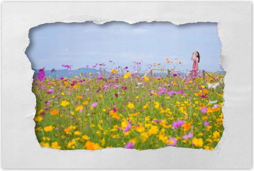 Poszterek 90x60 Virágokkal teli rét