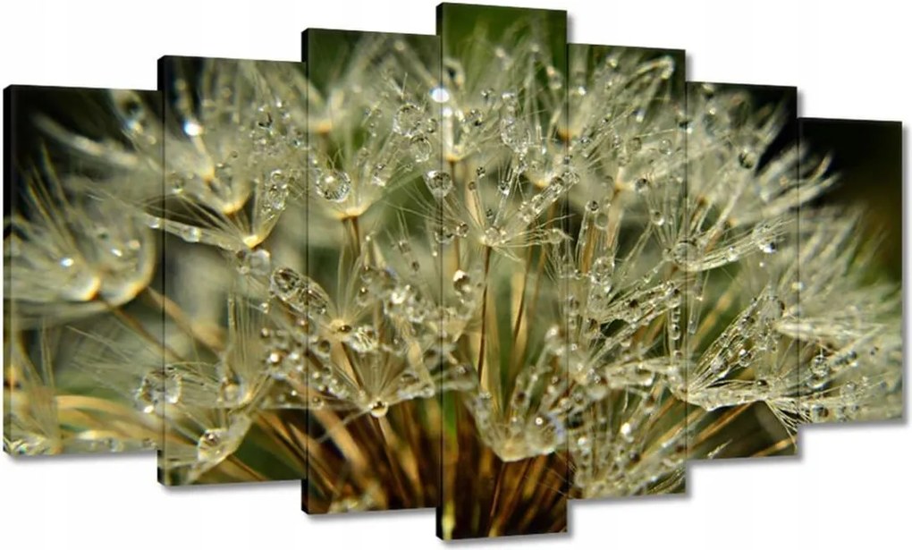 Vászonkép 140x80 Pitypang Virág Virágok