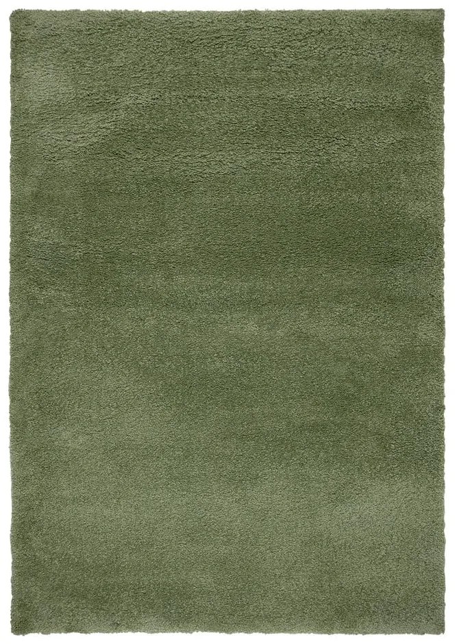 Zöld szőnyeg 160x230 cm – Flair Rugs