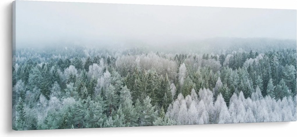 Kép - Havas erdőcsúcsok (120x50 cm)
