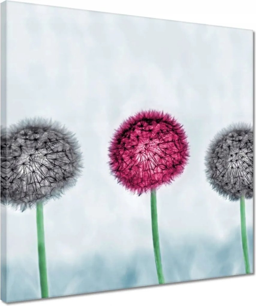 Vászonkép 40x40 Szürke-lila