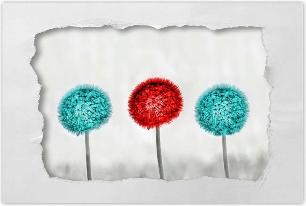 Poszterek 60x40 Piros pitypang