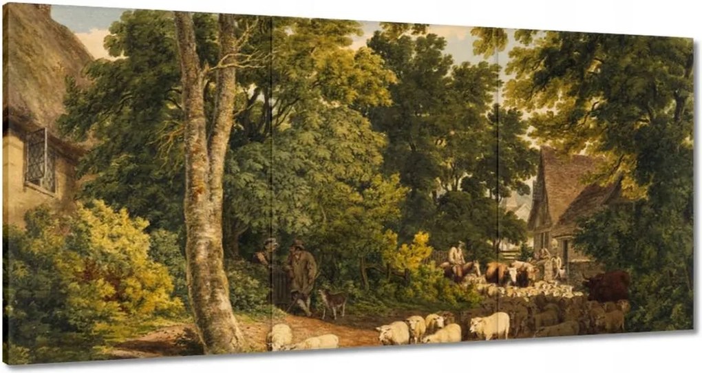 Vászonkép 120x60 Bárányok bárányok