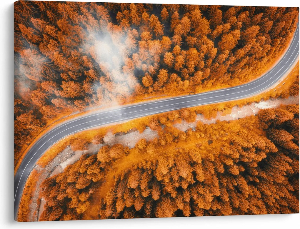 Kép - Hegyi út (70x50 cm)