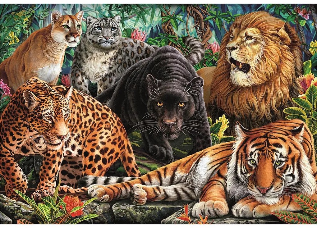 Állatos Wild Cats 500 db-os Compact puzzle Clementoni