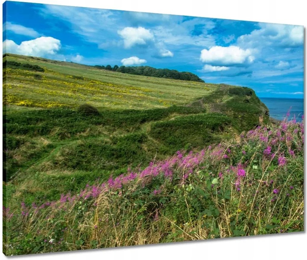 Vászonkép 80x60 Virágos rét a tengerparton