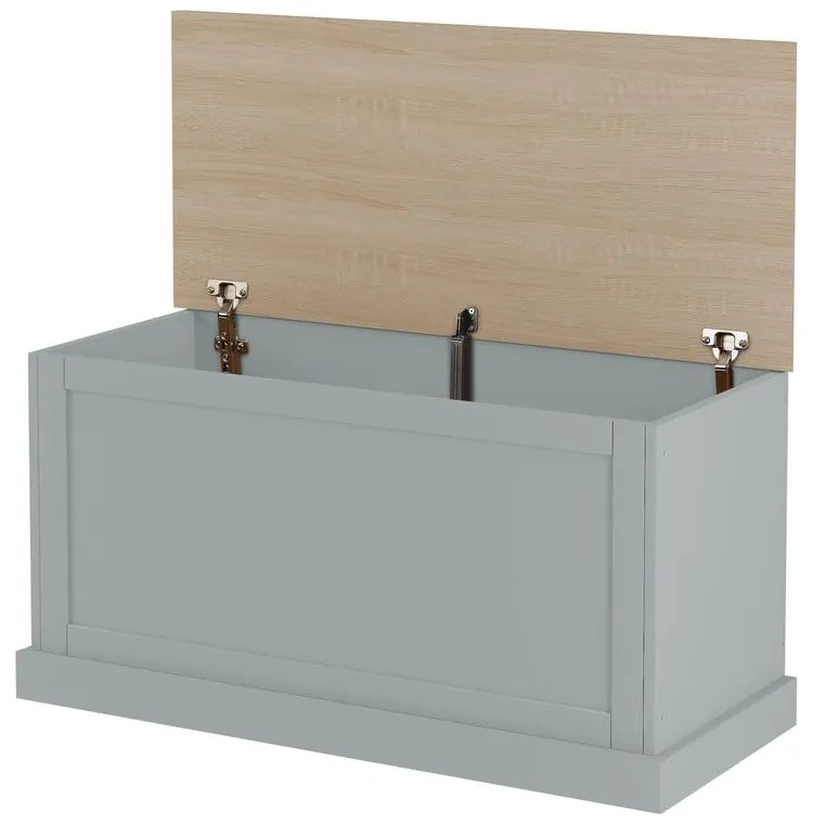 Szürke tárolóláda 90x45 cm Binz – Støraa