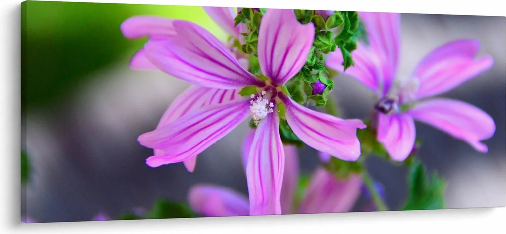 Részletes virágkép (120x50 cm)