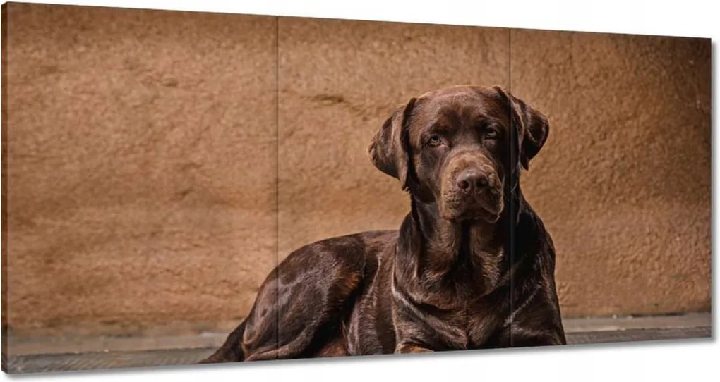 Vászonkép 180x90 Barna barát Kutya