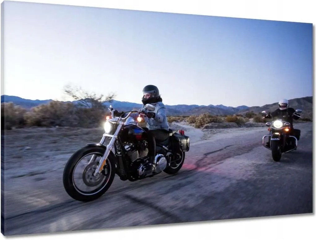 Vászonkép 90x60 Harley Davidson Motorkerékpár