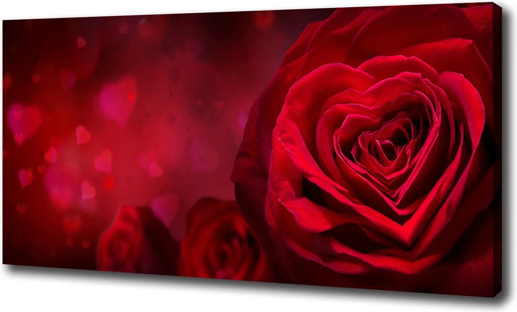 Vászonkép Vörös rózsa szív 100x70cm