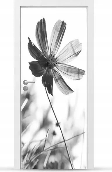 Furnér Kültéri Ajtó matrica Bútor öntapadós Könnyű Ragasztás