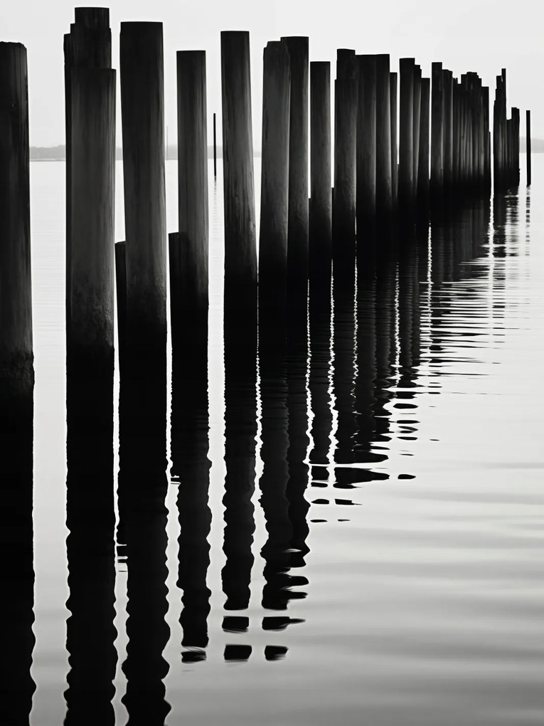 Poszter 75x100cm Ritmus Víz és Fa