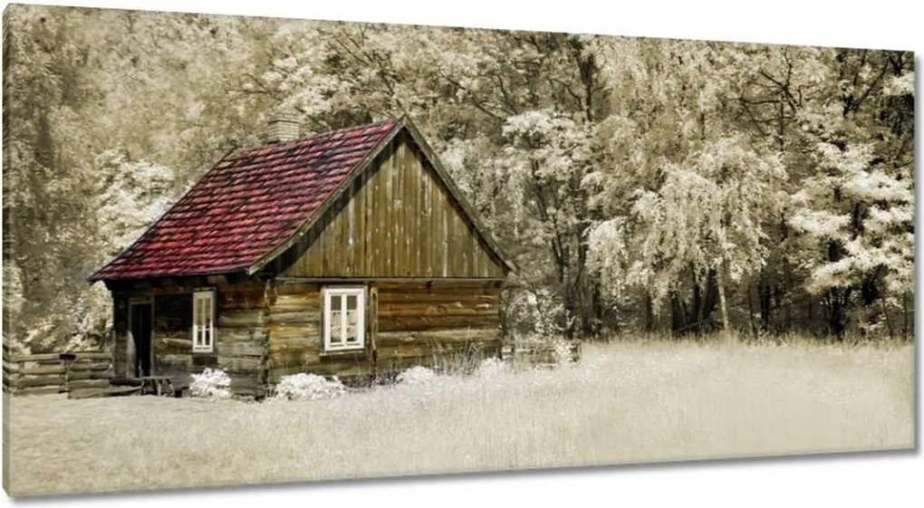 Vászonkép 115x55 Rönkház Bale