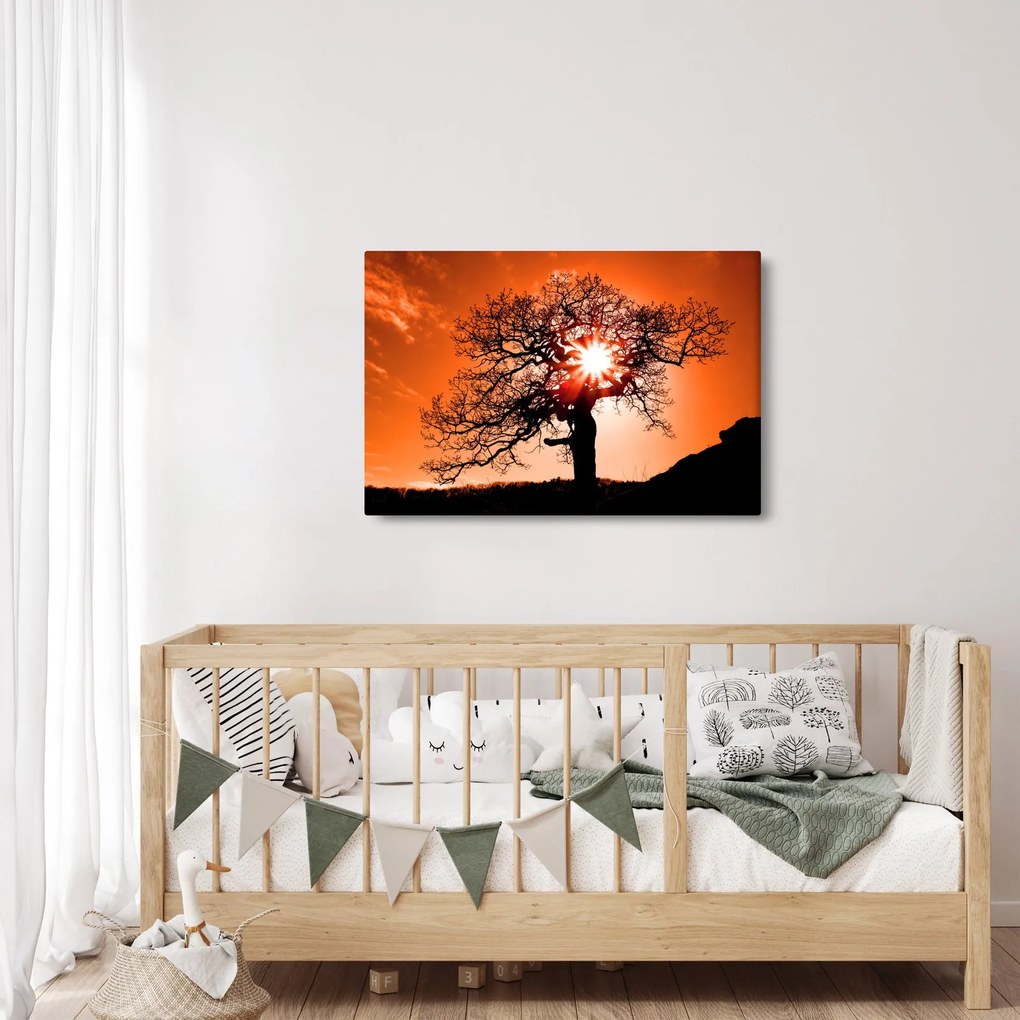 Kép - Tölgy napnyugtakor (90x60 cm)