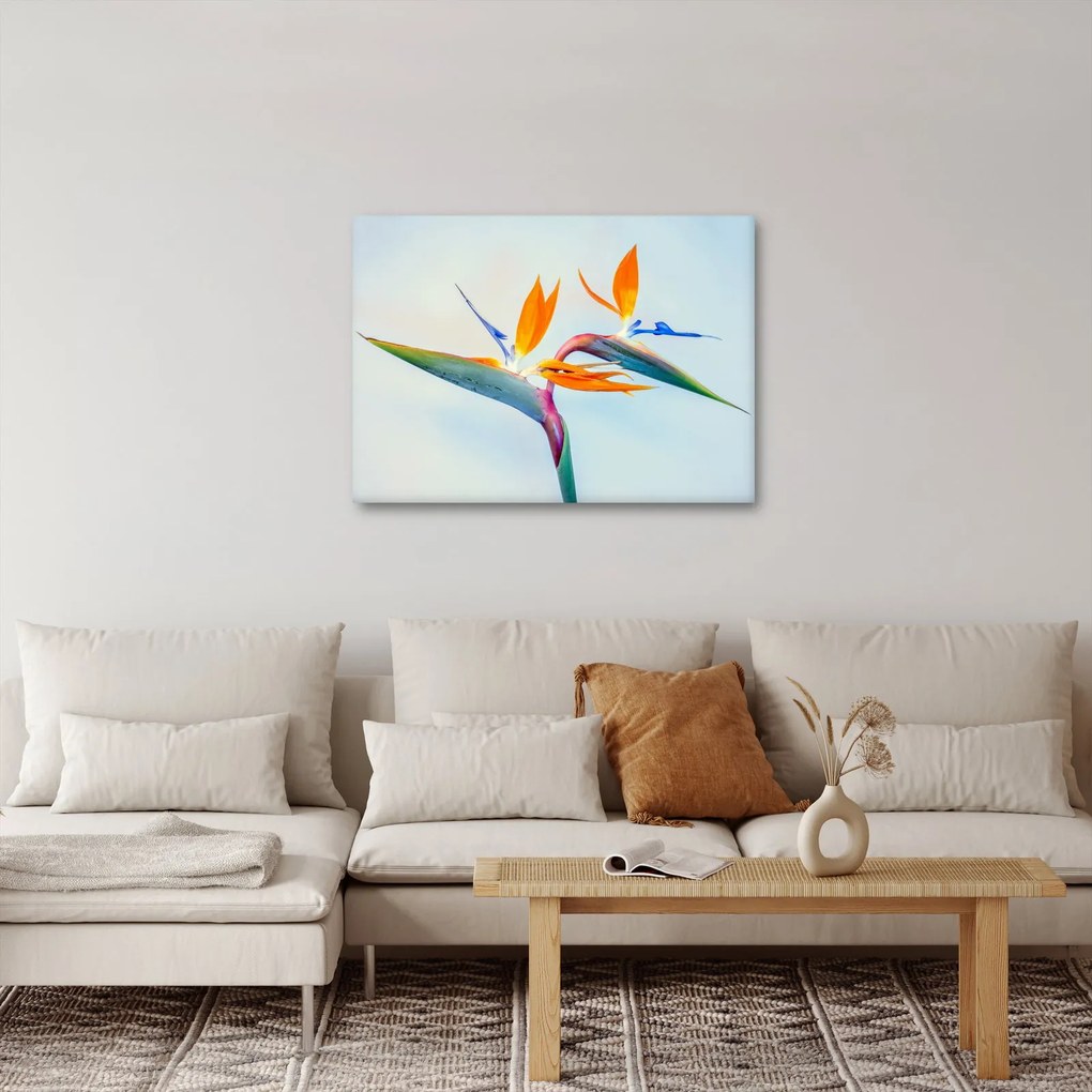 Virág képe (70x50 cm)