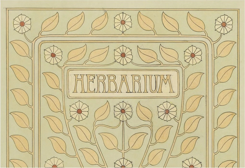 Divatos Flizelin Tapéta Fali Furnér Növényi dísz 152x104 Ragasztó