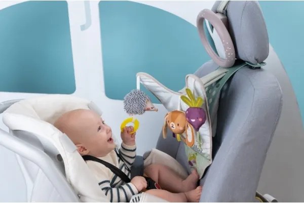 Taf Toys - Autó játékcenter Kert