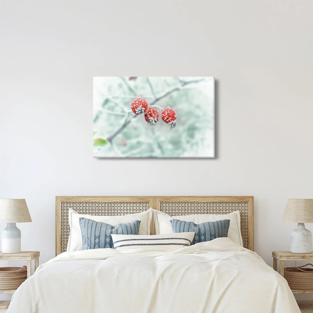 Fagyasztott csipkebogyó képe (90x60 cm)