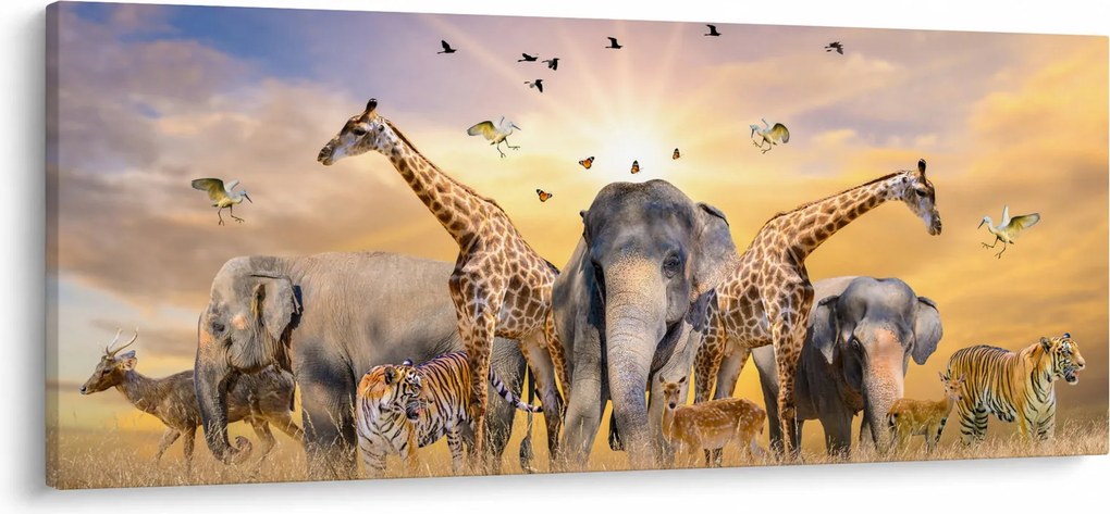 Kép - Afrikai állatok (120x50 cm)