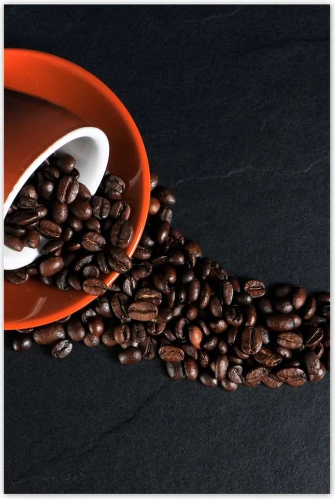 Poszterek 80x120 Kávé Kaffe