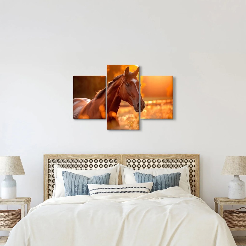 Kép - Ló a naplementében (90x60 cm)