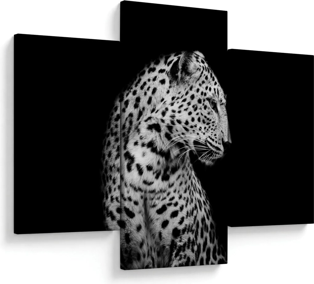 Kép - Leopárd (90x60 cm)