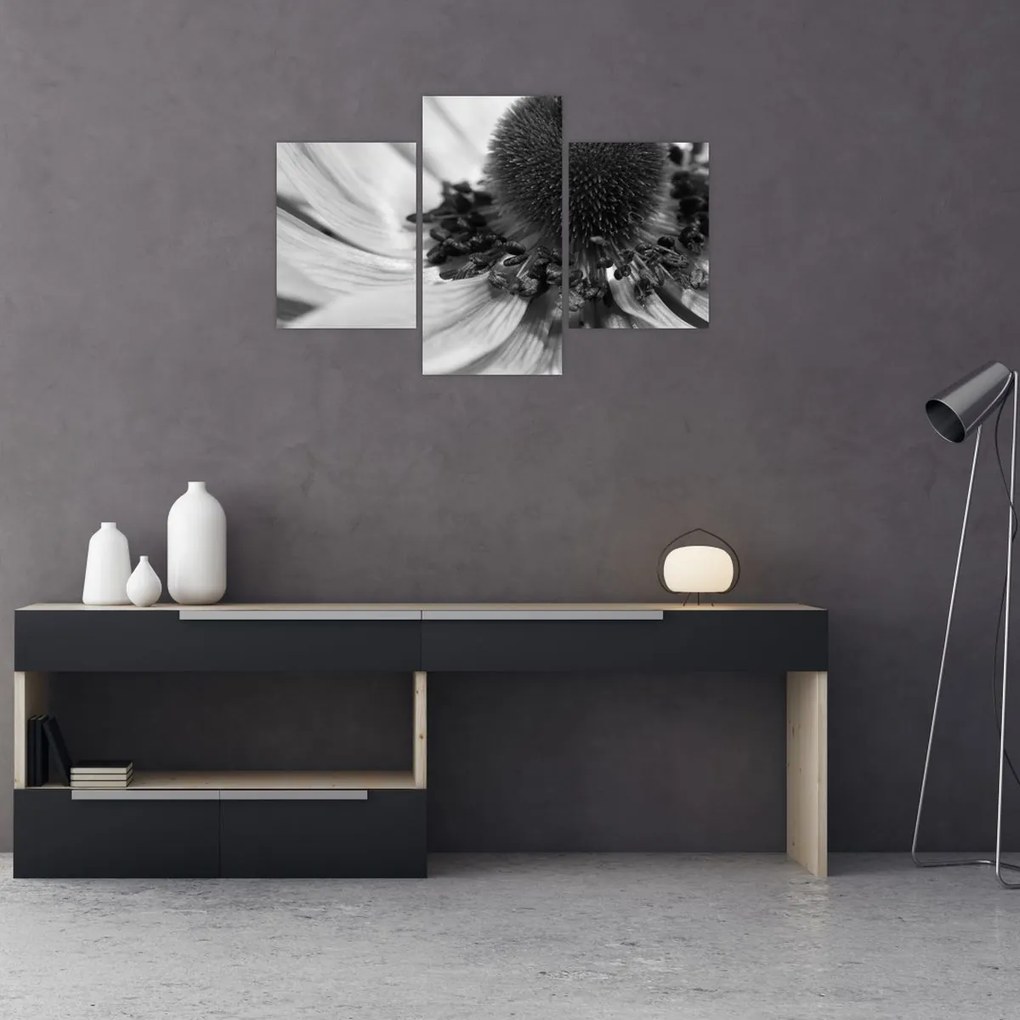Kép - Virág fekete-fehérben (90x60 cm)