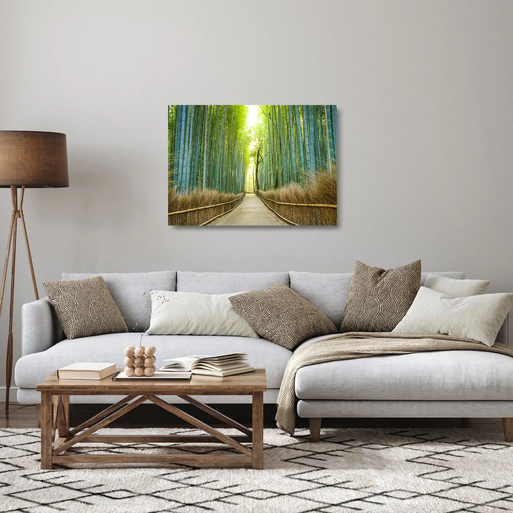 Üveg kép - Bambusz erdő (70x50 cm)
