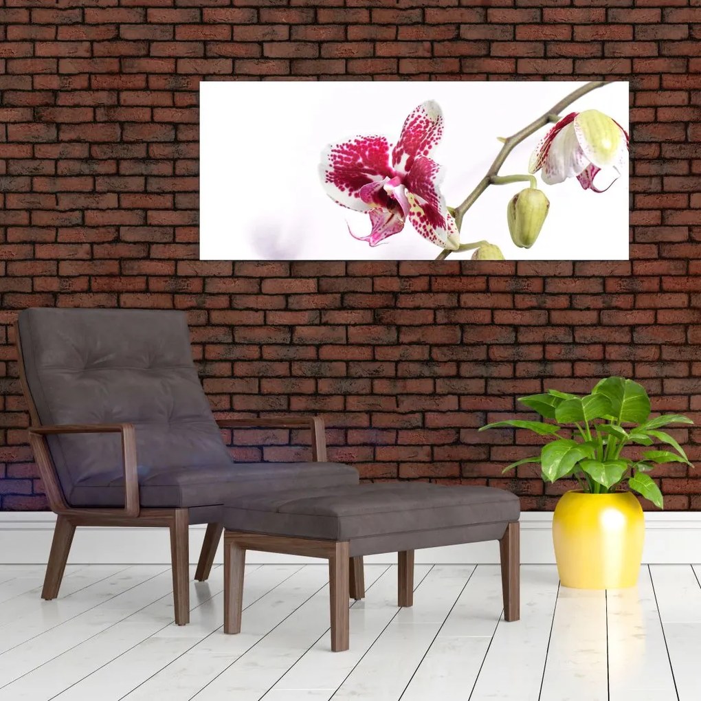 Orchidea virág képe (120x50 cm)