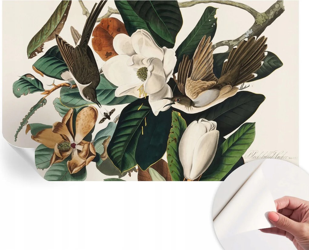 Modern öntapadós fotótapéta Mosható Madarak magnólia 416x254 cm