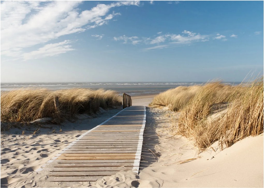 Kép - Homokos strand Langeoog szigetén, Németországban (70x50 cm)