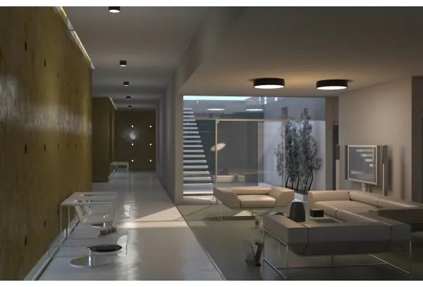 Immax NEO 07143-GR15BD- KÉSZLET 2x LED Mennyezeti lámpa RONDATE 12W/230V Tuya szürke + távirányító