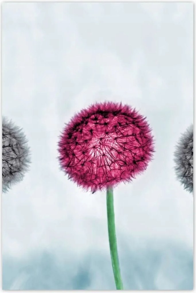 Poszterek 80x120 Szürke-lila