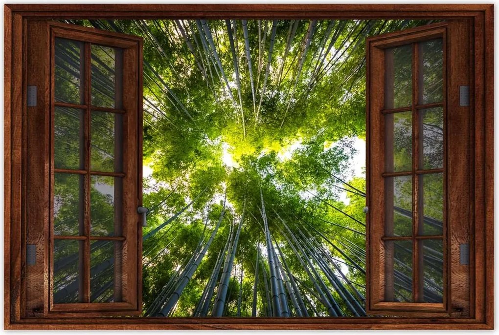 Poszter 60x40 Bambusz trópusi erdő