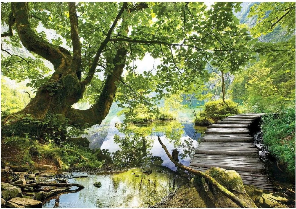 Fotótapéta Fa 3D Erdő Tó Tájkép Természet Híd Tapéta 368x254