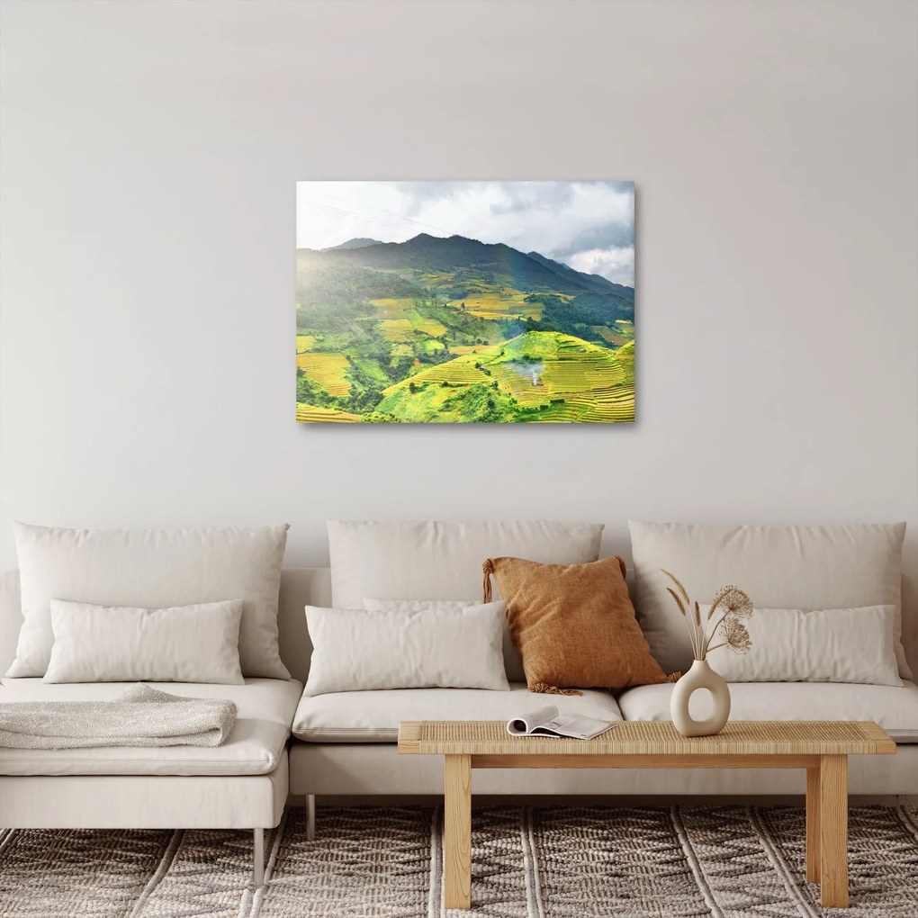 Ültetvények képe (70x50 cm)