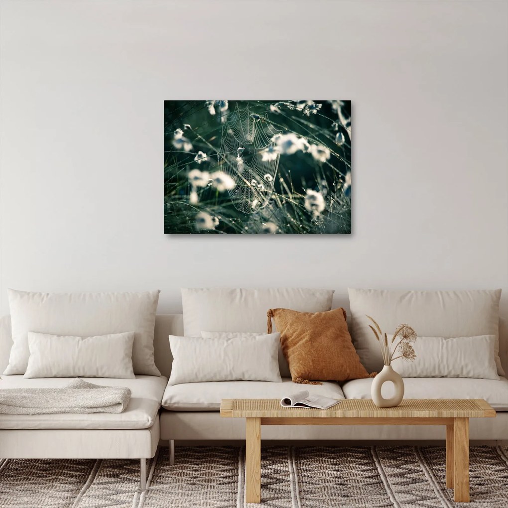 Kép - Pókháló (70x50 cm)