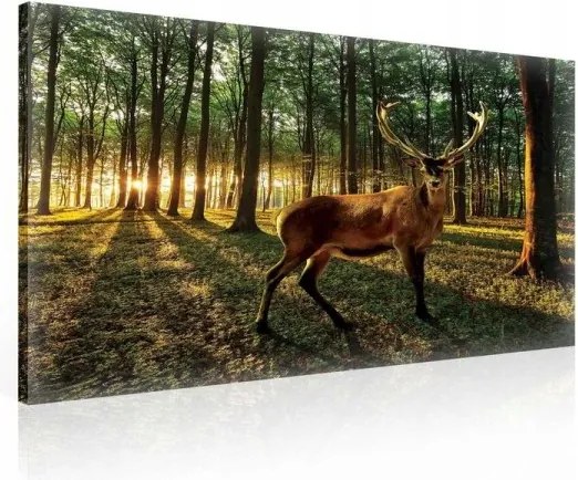 Vászonkép 60x40 Erdő szarvas napsugarak természet nyugalom harmónia erdő mágia