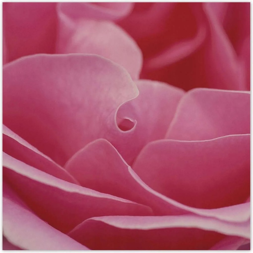 Poszterek 100x100 Nőnap Ajándék Love