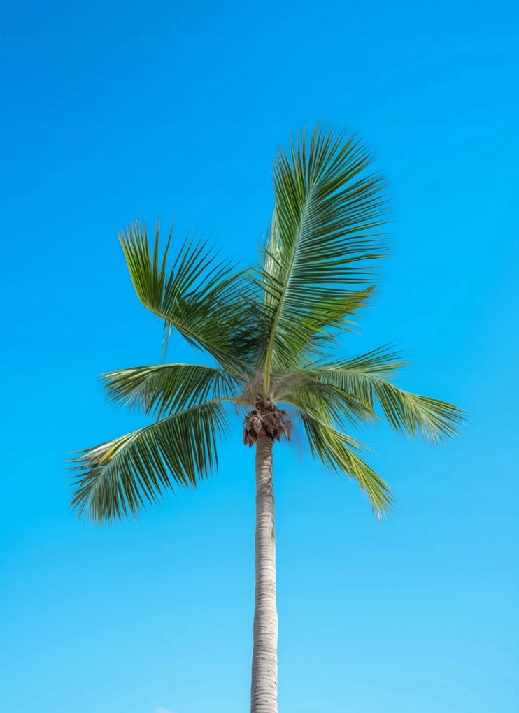 Poszter 40x55cm Égi magaslatok