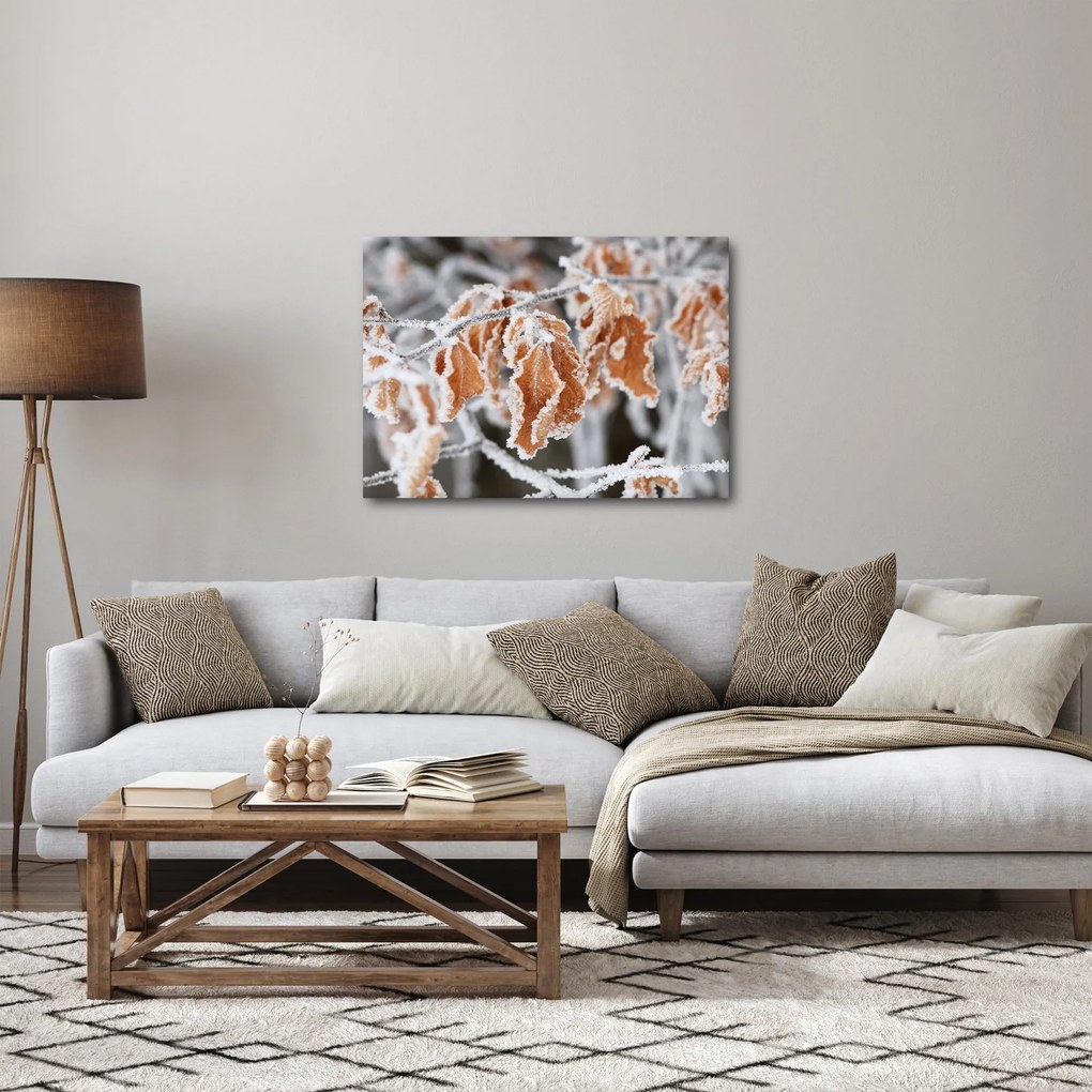 Kép - Fagyott levelek (70x50 cm)